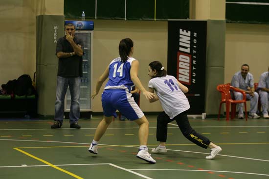 SINO1564