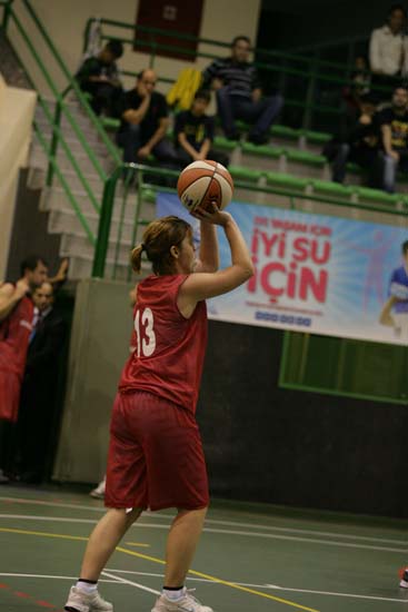 SINO1772